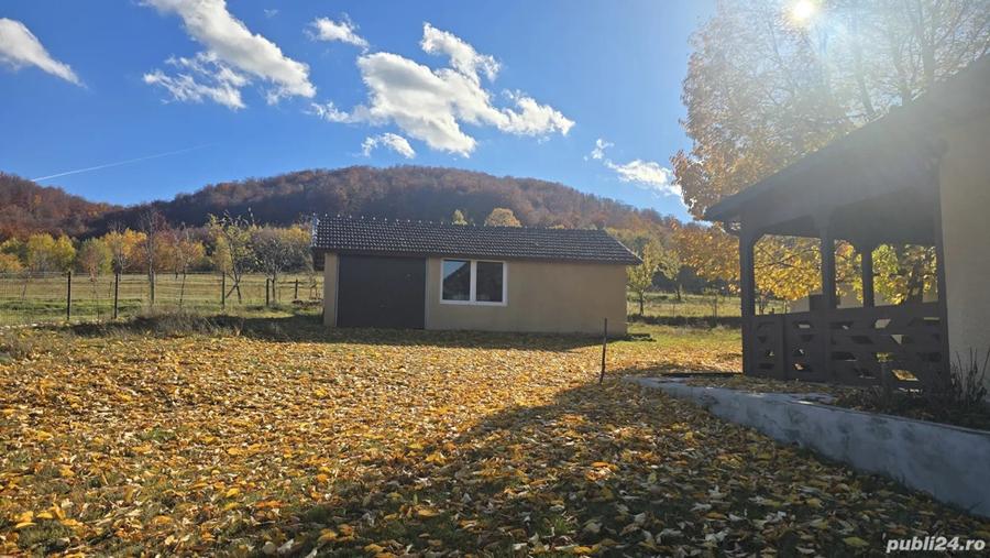 Vand casa in Dami? - 2