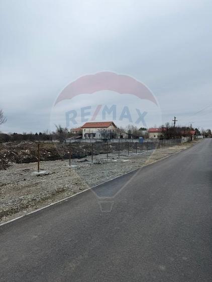 Teren 500mp Vladiceasca / None - 5