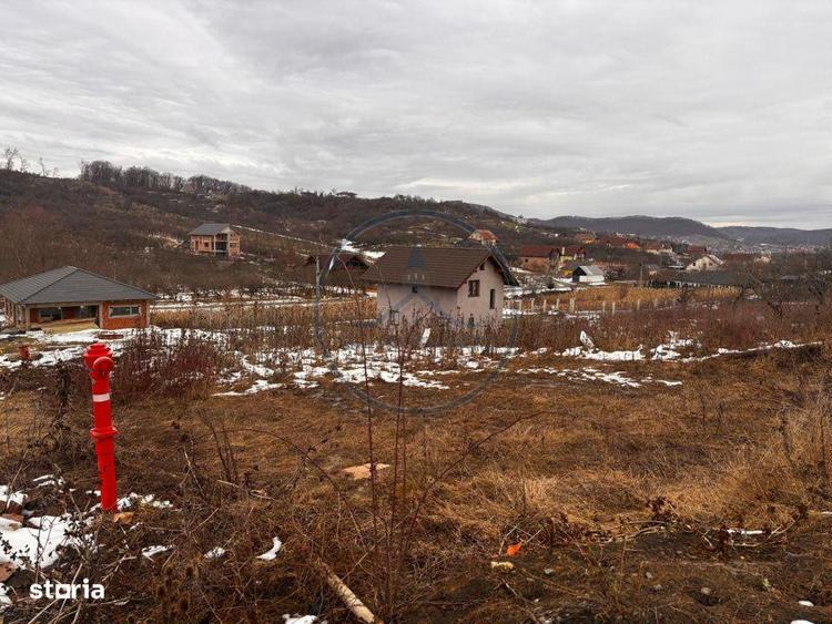 Teren Intravilan 550mp Valea Rusului - 2