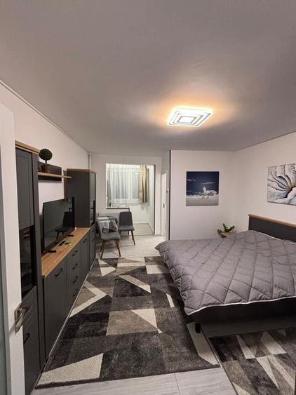 Titan chiar langa metrou, GARSONIERA LUX, PRIMA INCHIRIERE, bloc mixt - 9