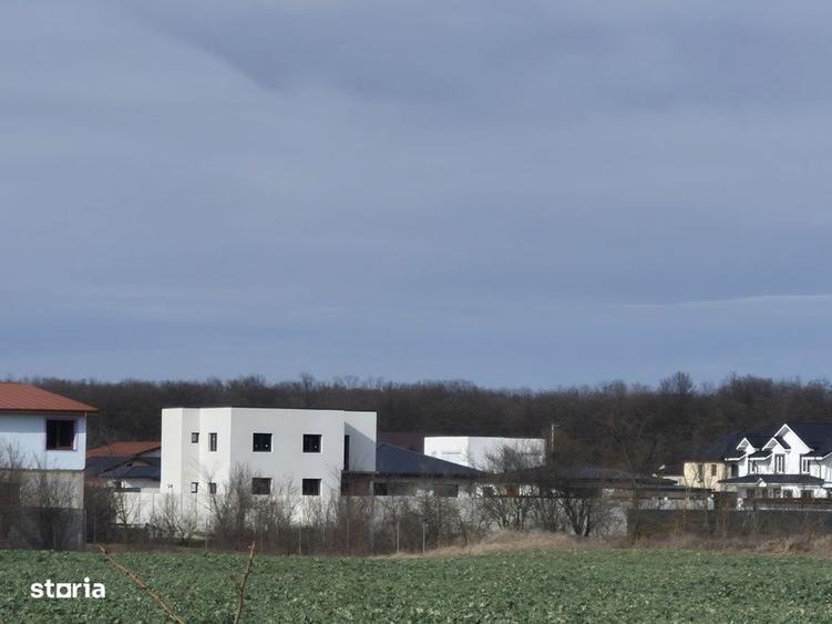 Teren cu gaz si electrica-hotar, 28000 E, padure - 6