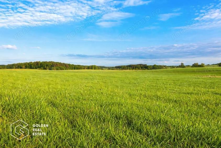 Teren extravilan, 23 400 mp, Cuvin (Ghioroc) - 1