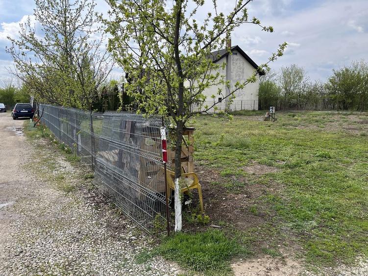 Teren Corbeanca Ostrat - 4