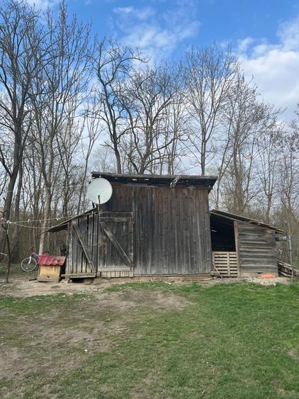 Se vinde casa la tara - 1