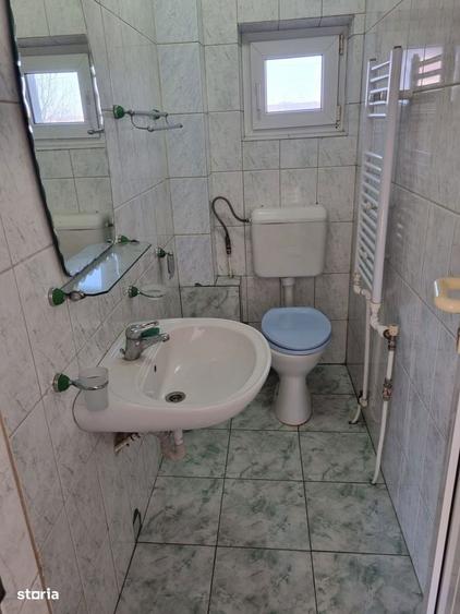 Proprietate cu 2 imobile,teren 1.202 mp,Bacia-jud.Hunedoara - 10