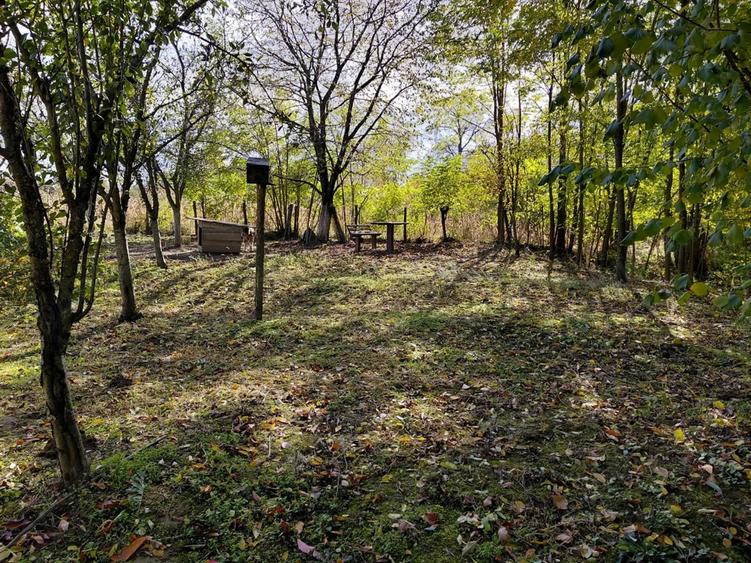 Casa de vanzare + gradina in sat Zagujeni - 8