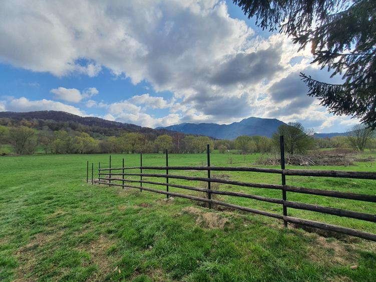 Teren Rasnov – Predeal zona de pensiuni - 1