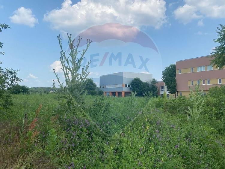 DE VANZARE Teren intravilan 600mp Drumul Piscul Mosului SISESTI - 11