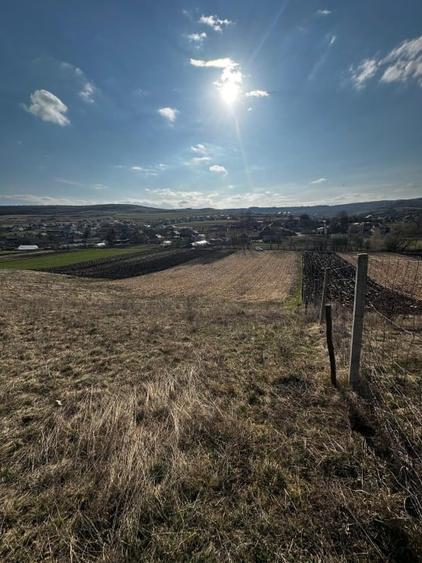 Teren extravilan 9000 mp Corușu, Baciu – acces drum,  acces apa curgatoare - 9