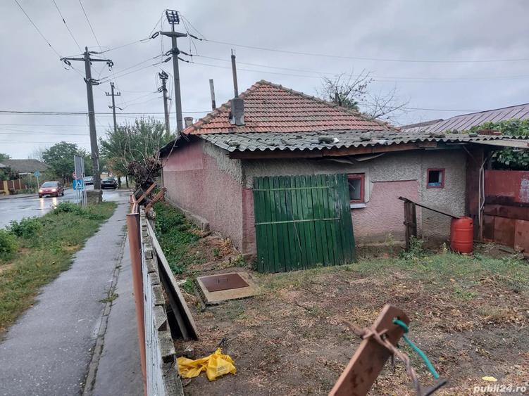 Casa cu teren Alexandria 504mp - 3