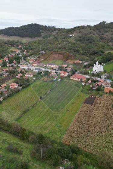 Teren 3200 mp I intravilan I Certificat Urbanism I Aschileu Mic - 8