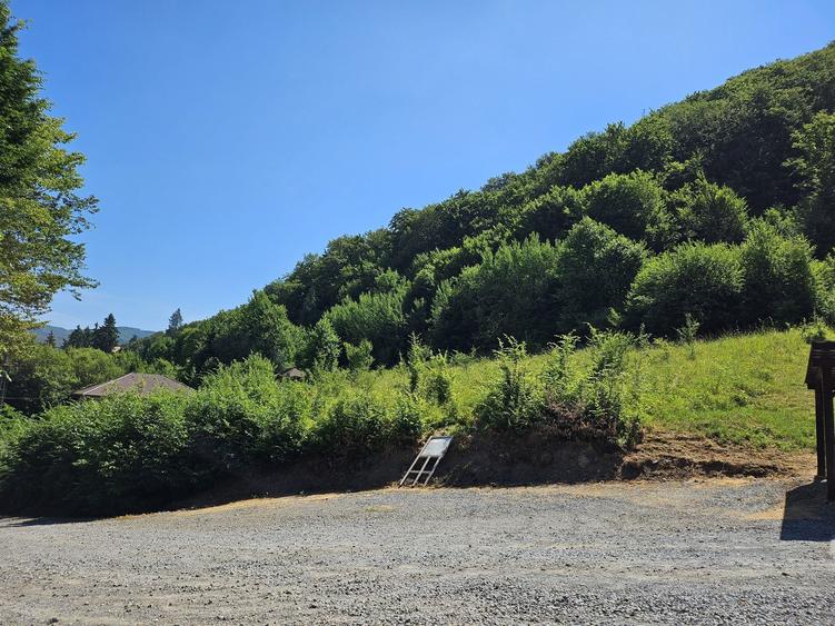 Teren intravilan Sovata Bai 3533 mp - 8