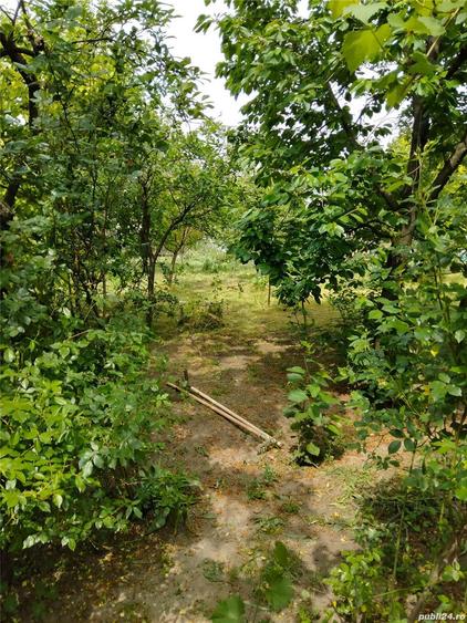 Casa la Glodeanu Silistea Buzau - 7