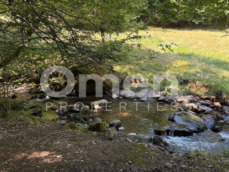 Teren extravilan de vânzare | 1402 mp | Blidari | zonă superbă - 6