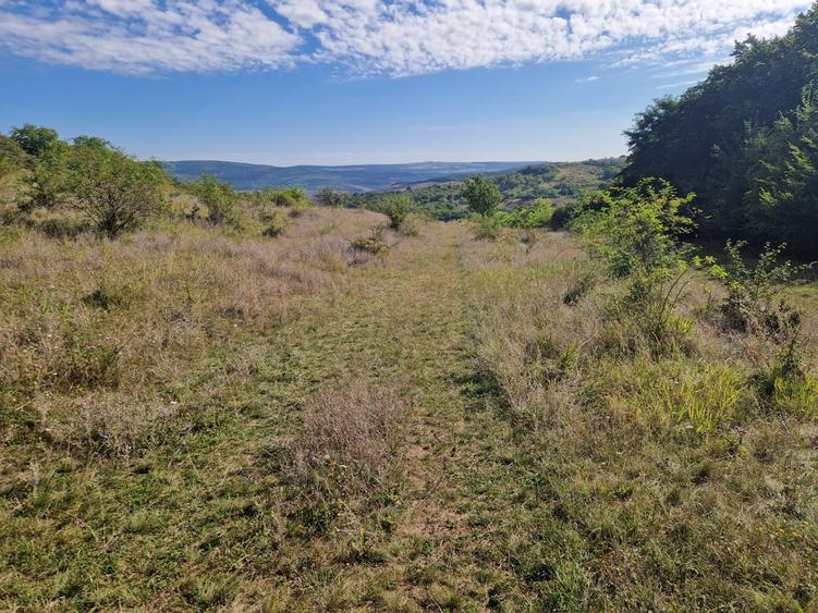 Teren 5800 mp extravilan in Suceagu ideal investitie - 1