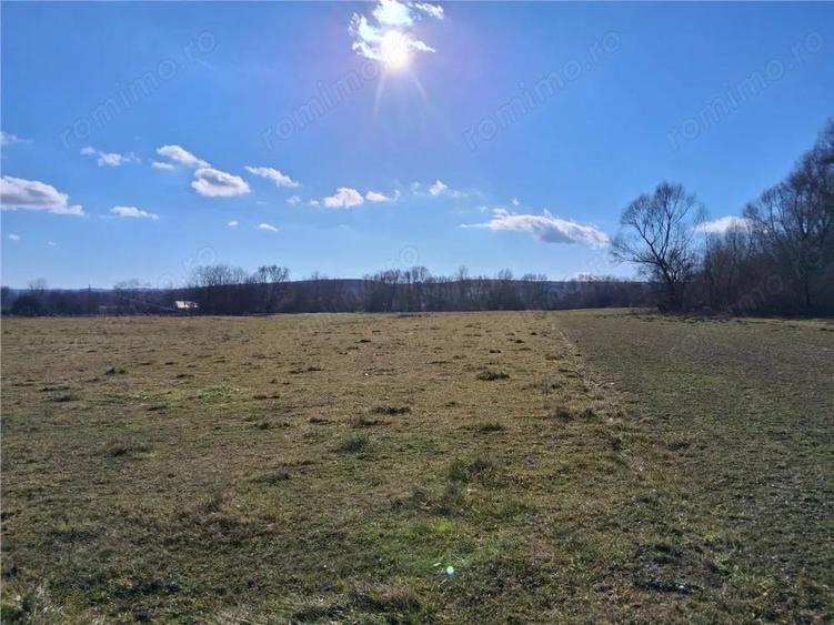 Teren intravilan 14780 mp, comision 0%, inTopolita, Neamt, pretabil afacere - 5