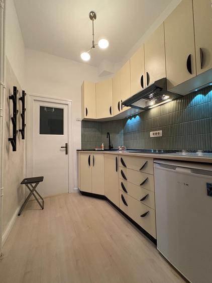 Sala Palatului, Parc Cismigiu, prima inchiriere, bloc consolidat - 7