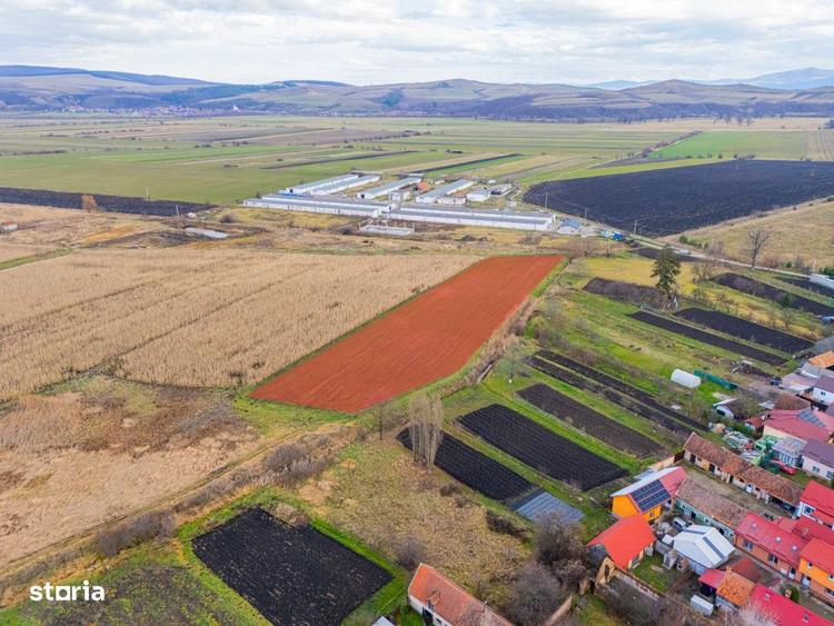 Teren extravilan Bod, 10.000 mp, acces DE 290, zona spre Harman - 10