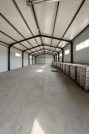 Proprietate industrială complet utilată - 3