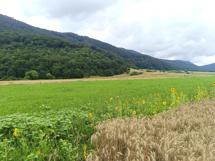 De vanzare - Teren intravilan pentru constructii – 16.500 mp / 0% comision - 4