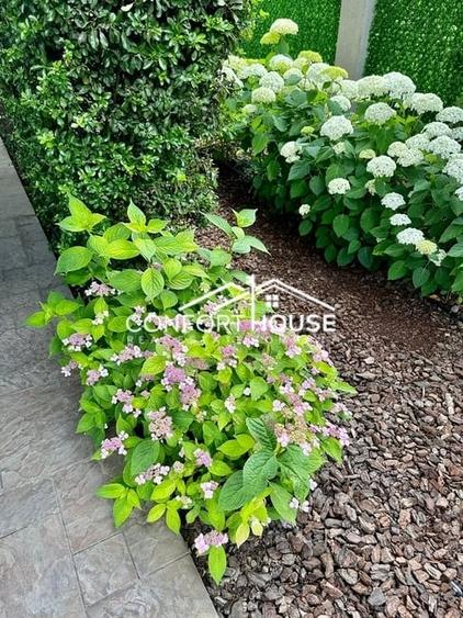 Vila cu arhitectura moderna,  piscina, cartier rezidential, IANCU NICOLAE - 52