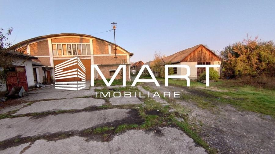 Teren intravilan 16000 mp + hale Calea Surii Mici - 3