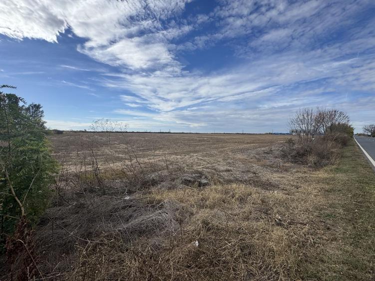 Vand Teren Extravilan Biled(zona industriala) 25.000mp,F.S la DN6 - 4