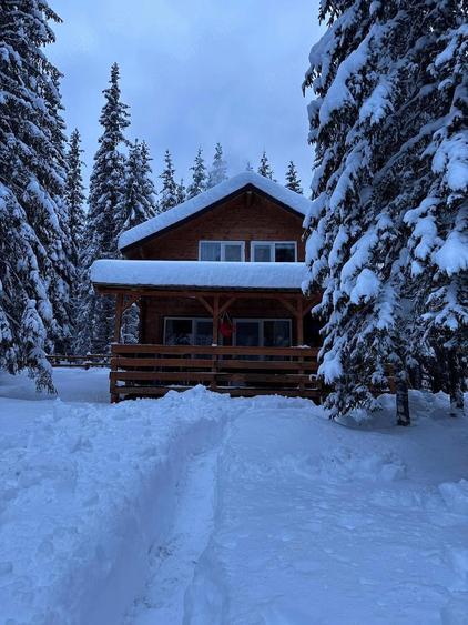 Cabana de vanzare Buscat - 2