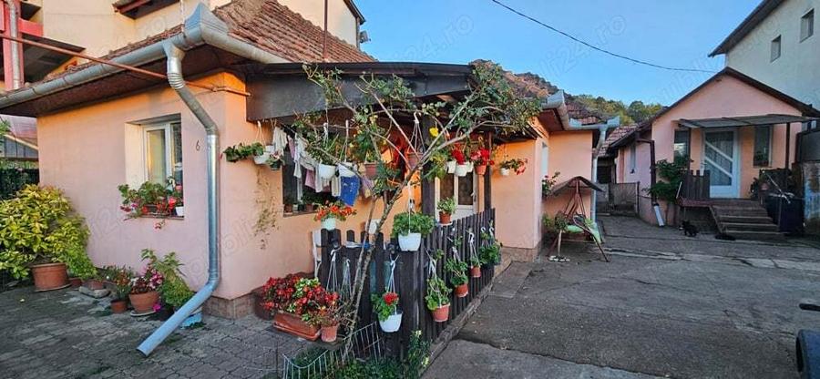 Casa familiala Dezmir - 1