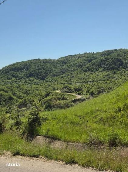 Casa de vanzare zona de munte in jud prahova - 8