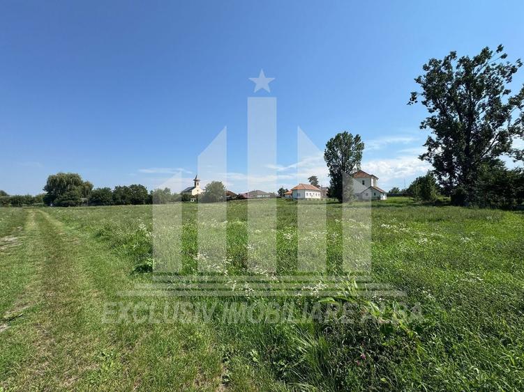 Teren intravilan | De vanzare | 5694 mp | 16.5 ml deschidere | Micesti - 1