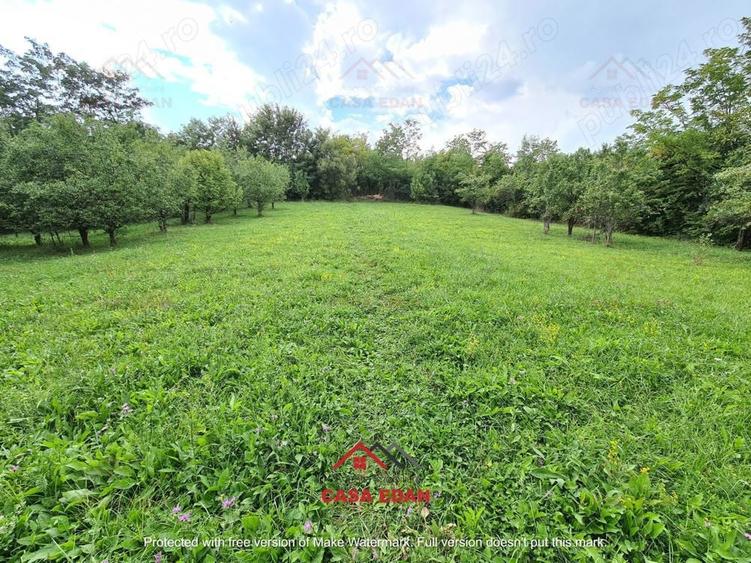 Teren intravilan in Poiana Campina--3287mp--10e - 5