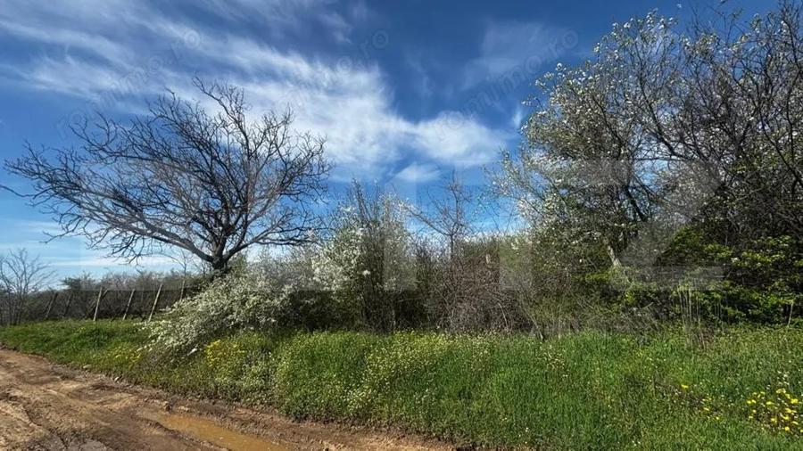 Teren intravilan 2000 mp, front 16,7 ml, vizibilitate la DN, Carcea - 3