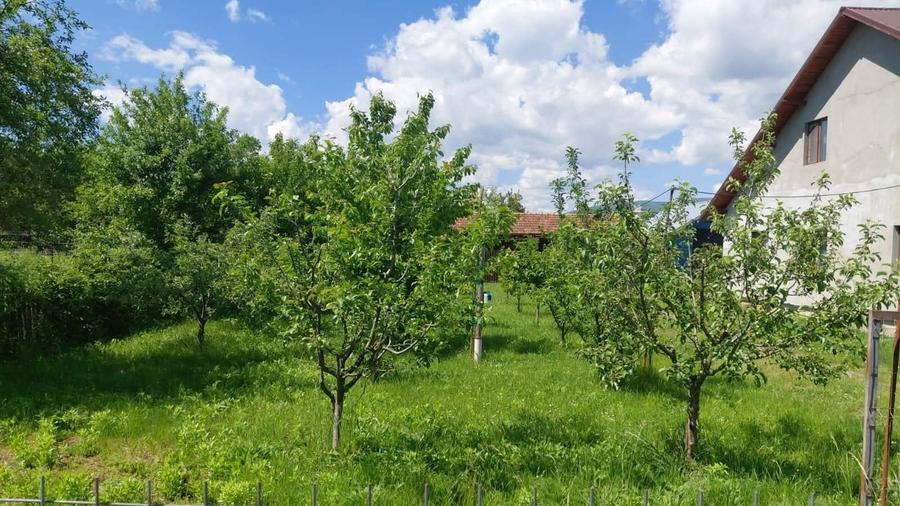 Casă cu 4 camere în Brebu