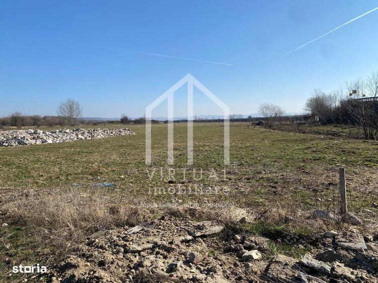 Teren intravilan si extravilan, suprafata 16,310 mp, langa Autostrada - 2