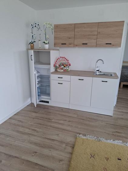 Casa de vanzare in Mineu - 5