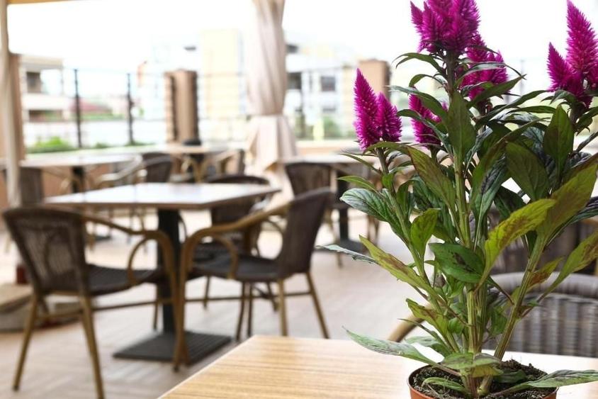 HOTEL 3 STELE, 5 NIVELE, MAMAIA NORD KM 0 ZONA ALEZZI - 9