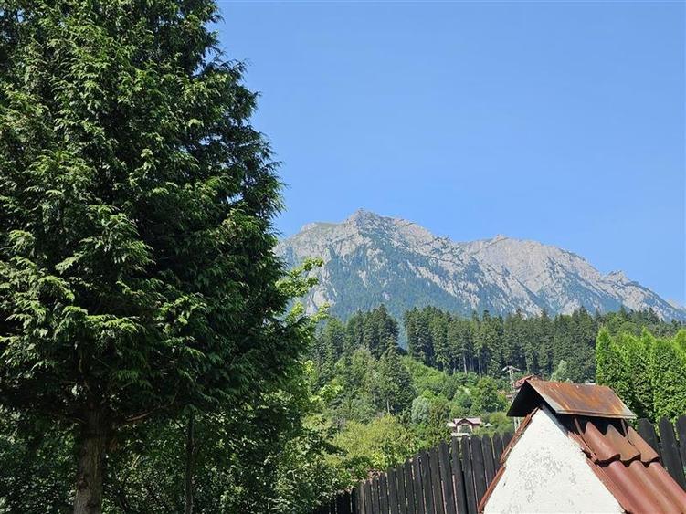 Vila cu vedere la Muntii Bucegi - 560 mpc si 963 mp teren - Zamora - 6