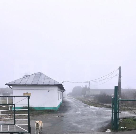 Spa?iu comercial, 65 mp, zona Sud - 16