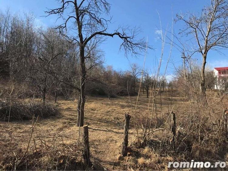 Teren Breaza 4400 mp - 2