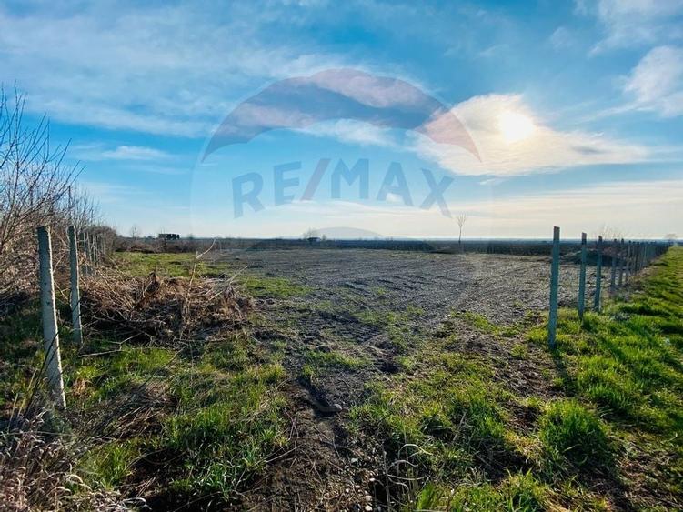 Teren 2222mp Urechesti la DN E85 - 6