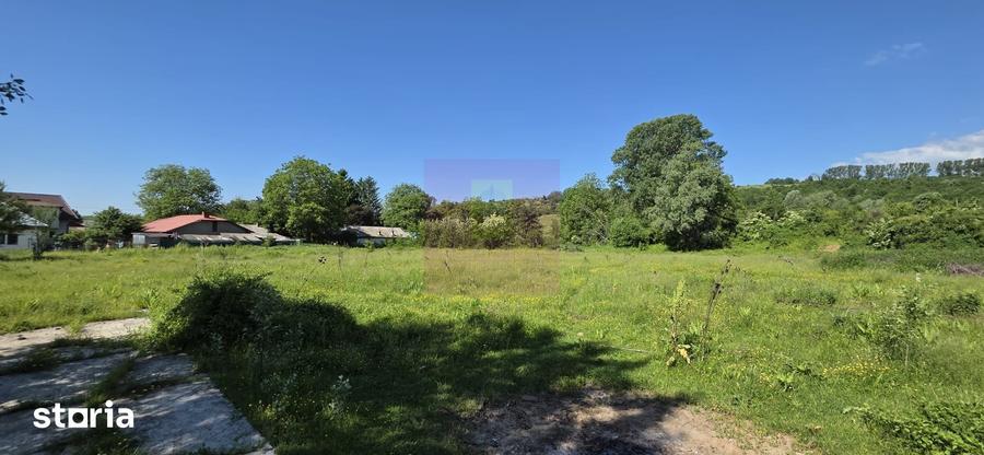 Teren intravila 40.679 mp in Campina, dezvoltare imobiliara - 7