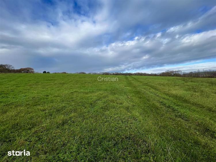 Teren intravilan Ro?iori, Dulce?ti, 1.200 mp, dimensiuni 29 x 45 m