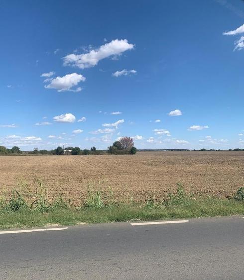Teren agricol intravilan de 4000 mp, în Dimieni