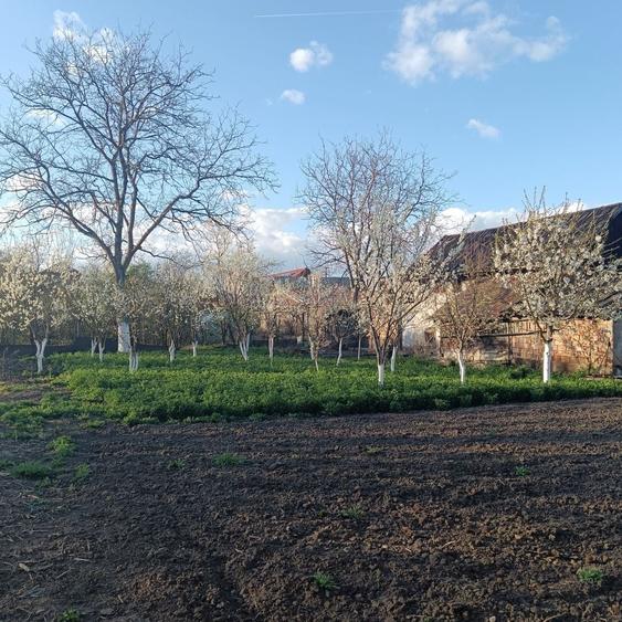 Casă cu 3 camere în Central