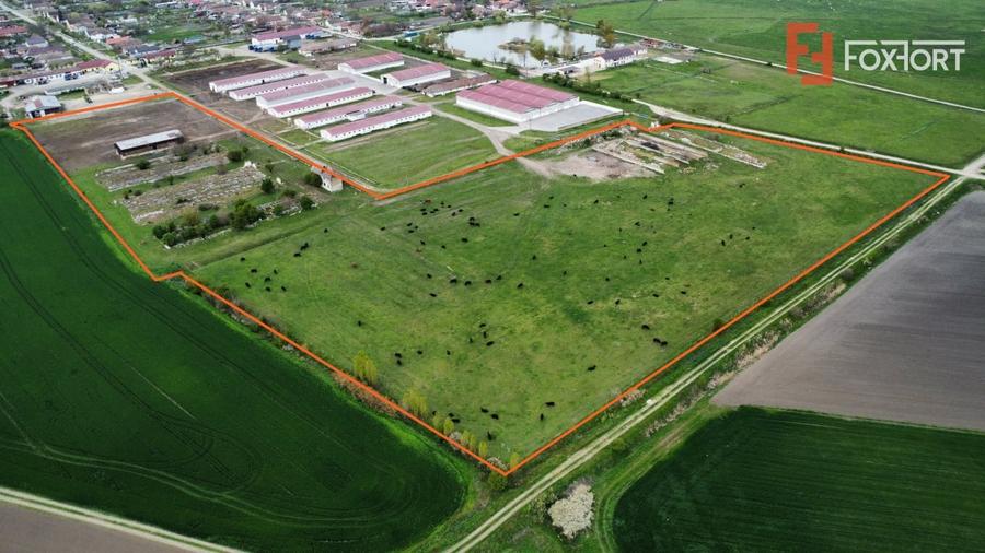 Teren Construcții intravilan de 58340 mp, în Sânmartinu Sârbesc