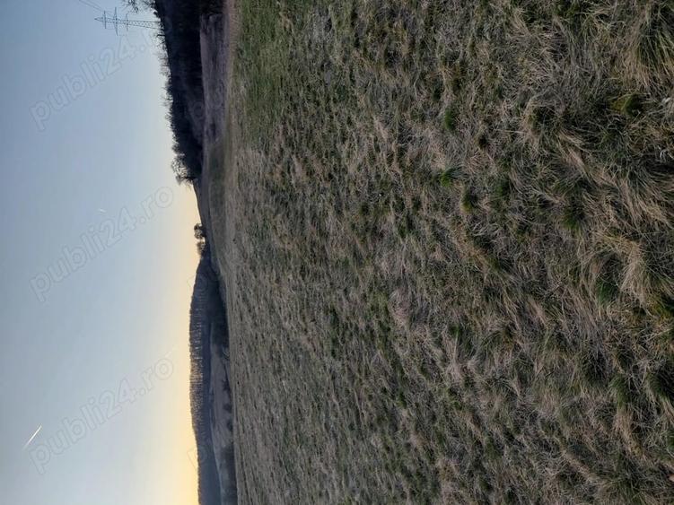 Teren de 4090 mp, în Cozia