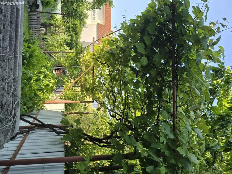Vand Casa zona Calea Dumbravii-strada Bacovia 585.000 - 4