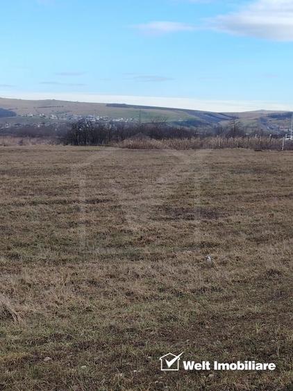 Teren Construcții intravilan de 8500 mp, în Jucu