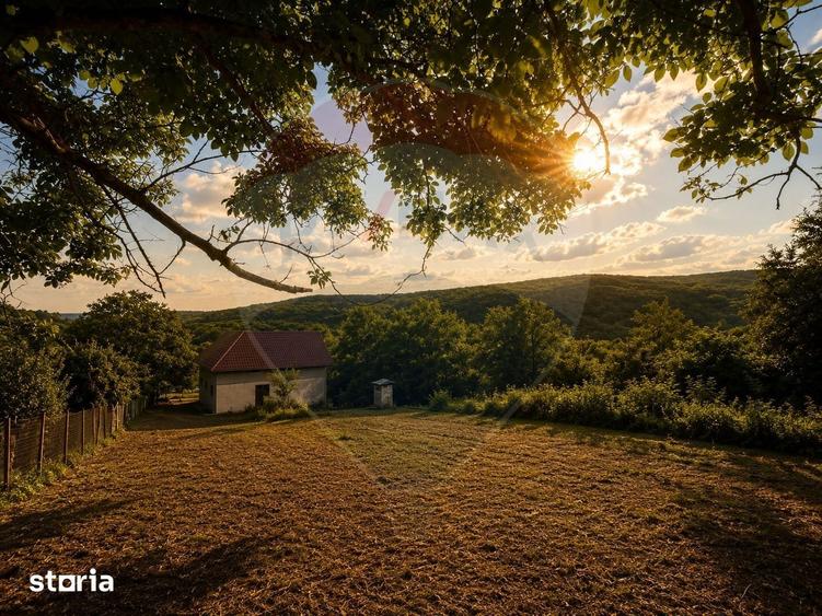 Casa de vanzare | Valea Budului | Oportunitate unica - 17